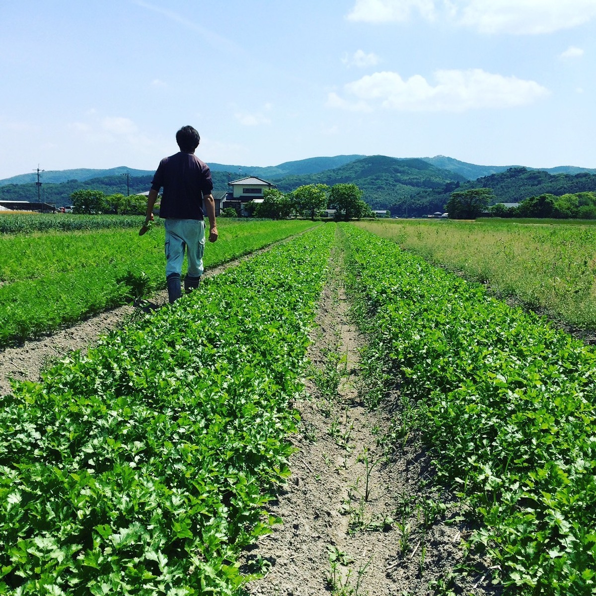 Eguchi Farm