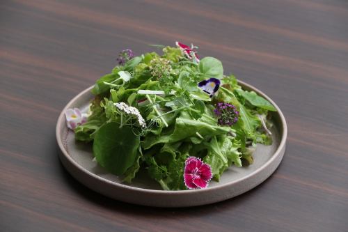 Salad made with plenty of herbs from Kumamoto Prefecture