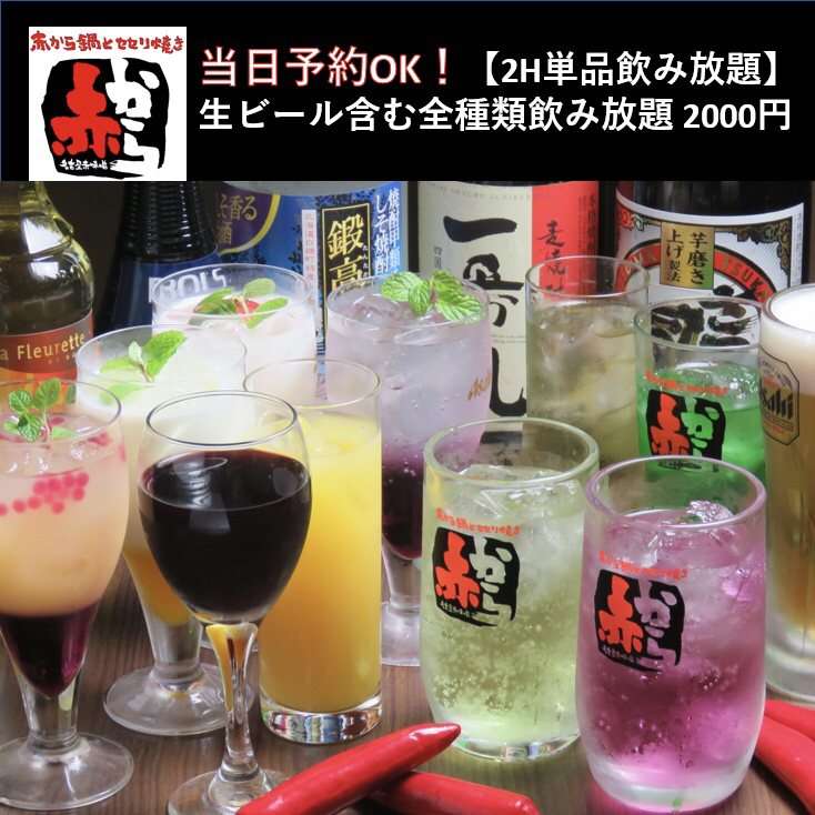 当日OK！2H単品飲み放題2000円！お好きなお料理と一緒にどうぞ