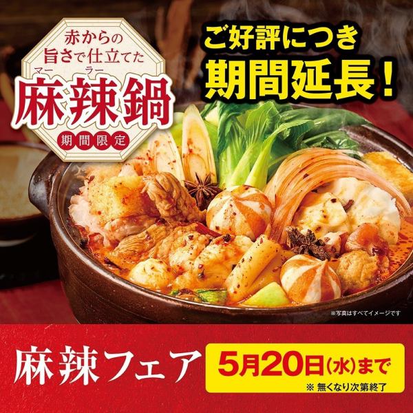 Mala Hot Pot Fair Announced! [Limited Time Only: April 1st - May 20th]