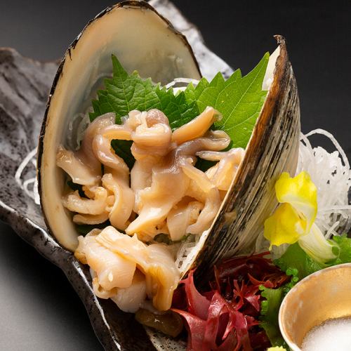 Hokkaido surf clams [live surf clams, live surf clams, surf clams]