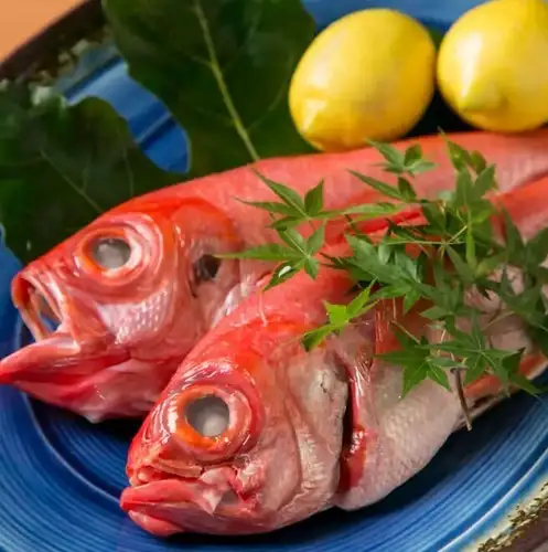 毎朝目利き！旬彩&鮮魚が自慢♪コースで満足度◎