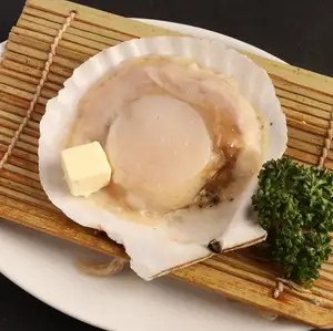 殻付きホタテ(1個)