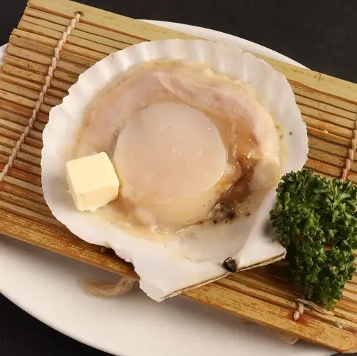 带壳扇贝(1个)