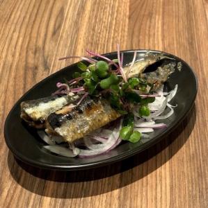 Oil Sardines