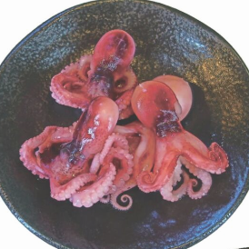 Good octopus