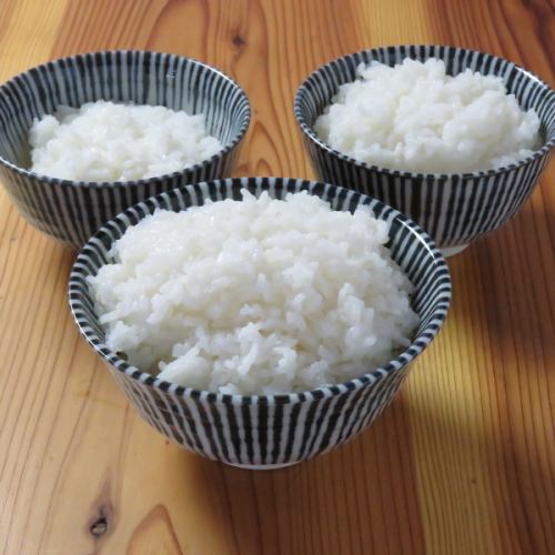 ごはん大