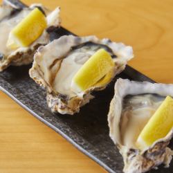 3 pieces of raw oysters