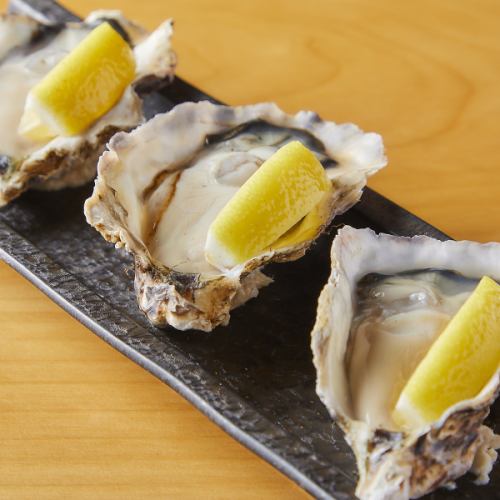 3 pieces of raw oysters
