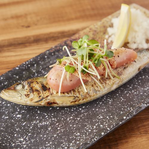 Large Trout Squid Topped with Spicy Pollack Roe