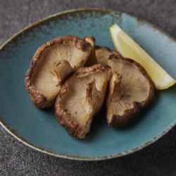 Shiitake mushrooms grown on logs