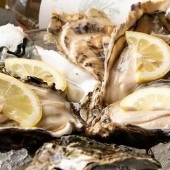 特別提供!牡蠣を沢山食べて産地応援!牡蠣三昧コース<全11品>5680円
