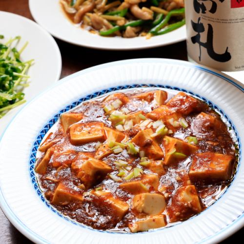 Authentic Sichuan mapo tofu