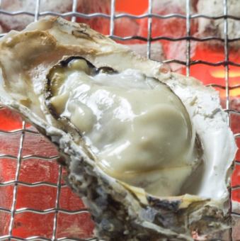~ Ishinomaki City ~ Raw oysters (1)