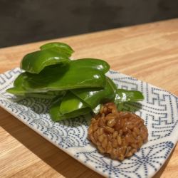 파리 파리 비만