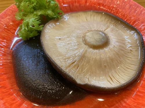 Hyakumangoku Shiitake Mushroom
