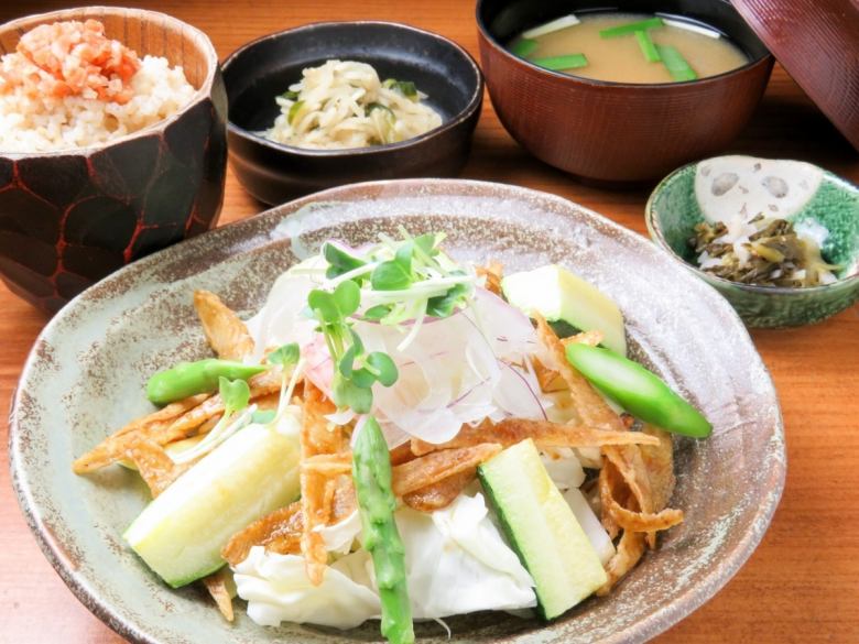 Addictive Salad Set Meal with Toro-ri Ontama and Fried Burdock