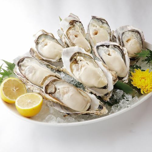 [Direct delivery ◎] Miyagi oysters Raw oysters/Grilled oysters