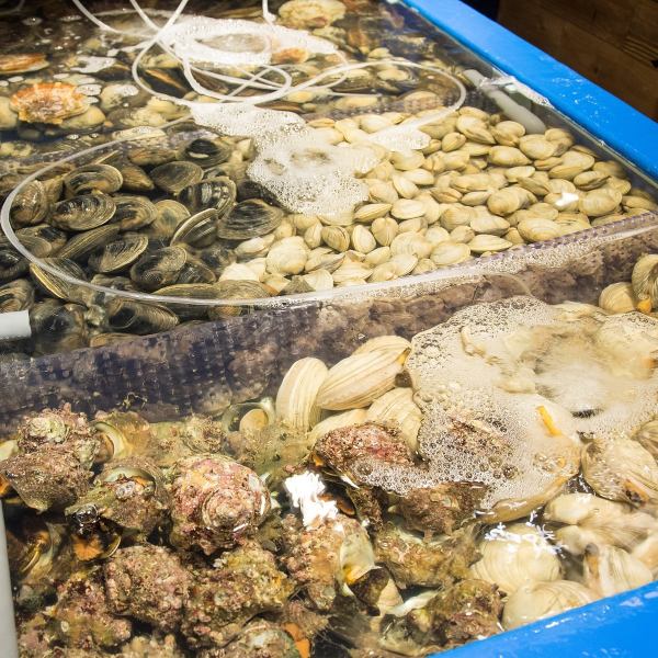 生簀(いけす)があるからできる活魚・活貝のご提供。さらに全国の漁港・漁師さんから厳選された旬の食材を直送してもうらうことで鮮度にこだわった料理をご提供させて頂きます。