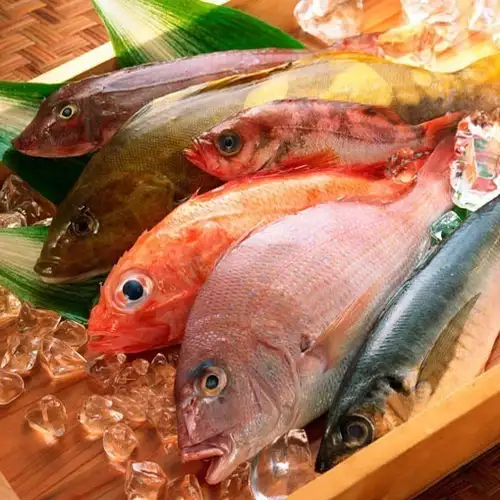 【新鮮な鮮魚も自慢】