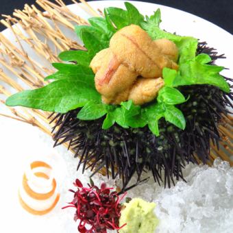 [Rishiri] Raw sea urchin sashimi