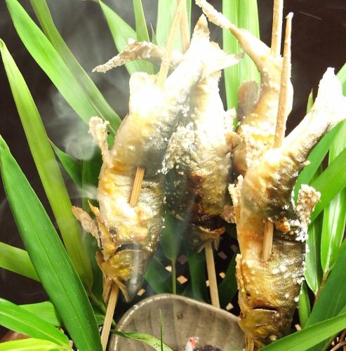 【迎送会】≪天然香鱼祭≫从6/1到7/14，我们将提供使用长良川郡上“天然香鱼”的怀石料理。