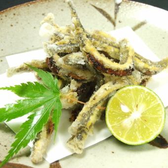 〈郡上〉あじめ泥鰌唐揚げ
