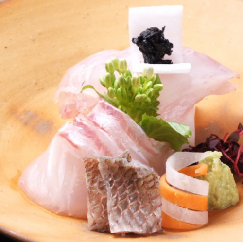 Akashi Wild Red Sea Bream Sashimi