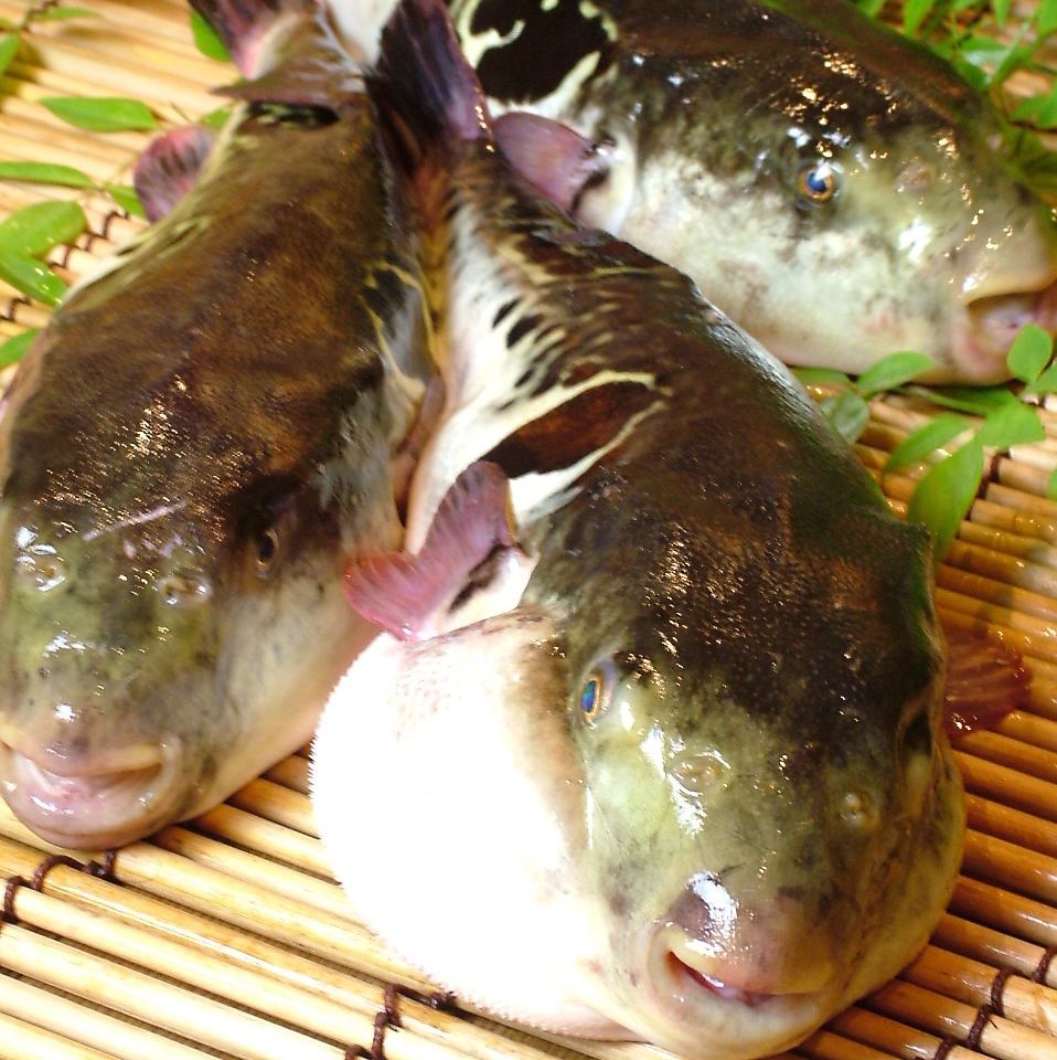 Enjoy kaiseki cuisine using winter Kyoto vegetables and the finest tiger pufferfish in a special Japanese space.