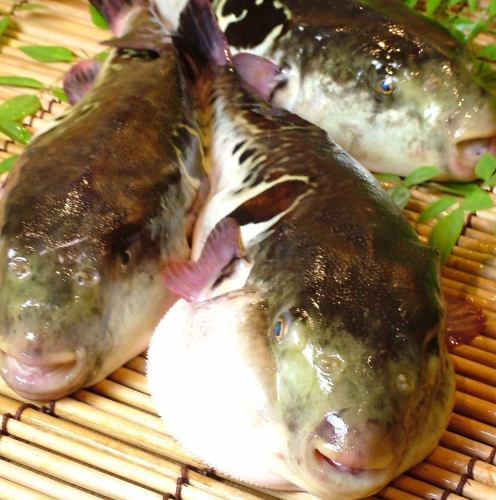 【忘新年会】 ふぐ祭り11/15~1/31まで