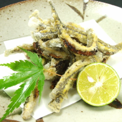 <Gujo> Fried Ajime Loach