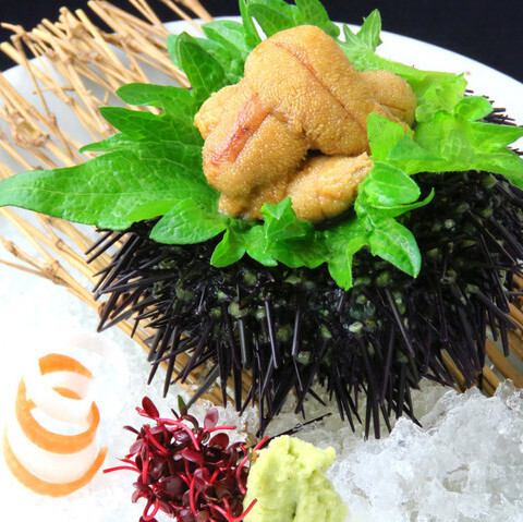 〈羅臼〉生うにお造り