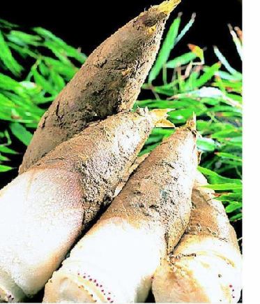  《4/1～4/末日まで》京たけのこ懐石　≪物集女≫　通常11,000円が7,700円に！