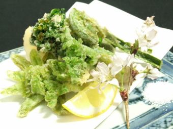 〈新潟〉春の山菜天麩羅