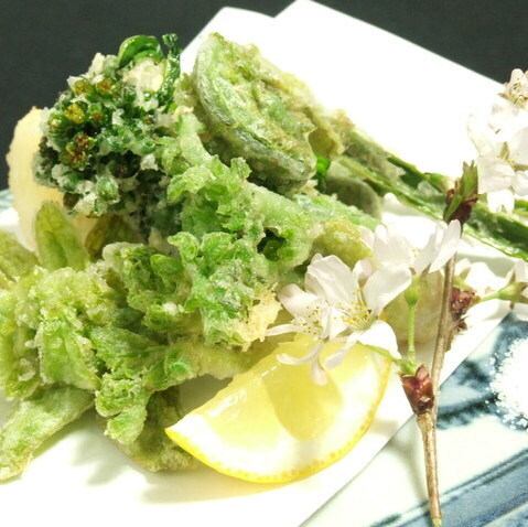 〈白鳥〉山菜の天麩羅