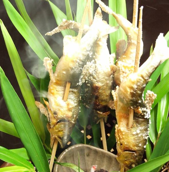 【歓送迎会】　6/1～7/14まで、天然あゆ祭り。郡上産の天然あゆを使用した、贅沢グルメです