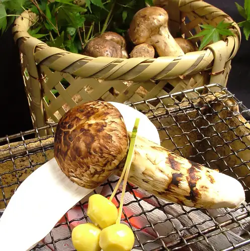 Matsutake Mushroom Festival until July 14th