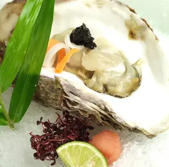 <Shima> Rock Oyster