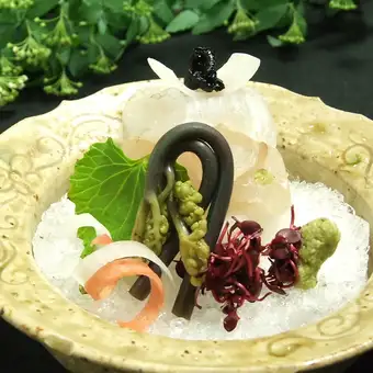 <Shinozaki> Flathead sashimi