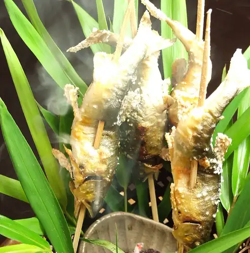 <Gujō> Grilled natural sweetfish with salt