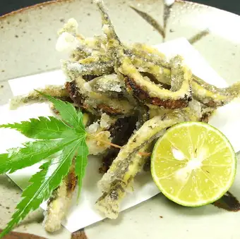 <Gujō> Deep-fried Ajime loach