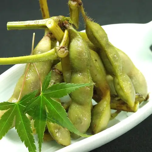 Tamba black edamame