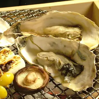 ≪Year-End and New Year Party≫ Limited time offer: November 15th - January 31st. All-you-can-drink included! Luxurious winter gourmet kaiseki course: 10,000 yen (tax and service charge included)