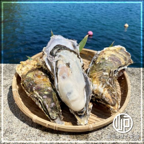 Directly from the producer! Oysters from Ishinomaki