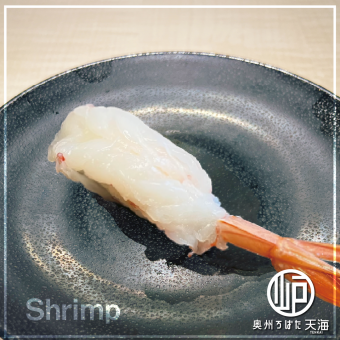 Red shrimp sushi