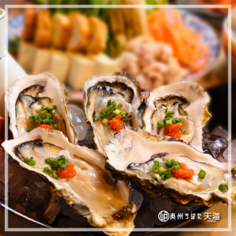 【산리쿠 만끽 코스】 생선회, 굴, 스시 등 9품, 생, 일본술 7종 120분 마시고 6000엔→5000엔