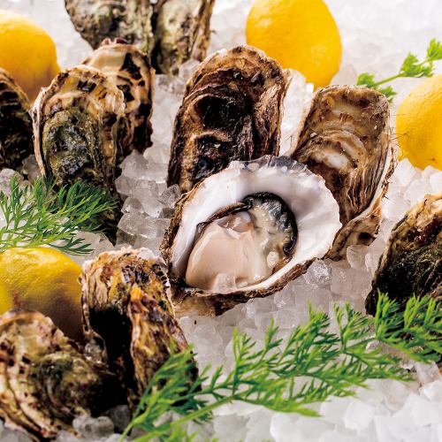 Seasonal raw oysters