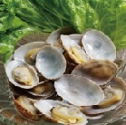 Sake Steamed Clam