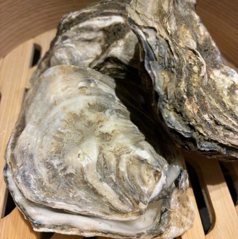 カキのせいろ蒸し