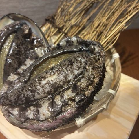 アワビ刺身　1個